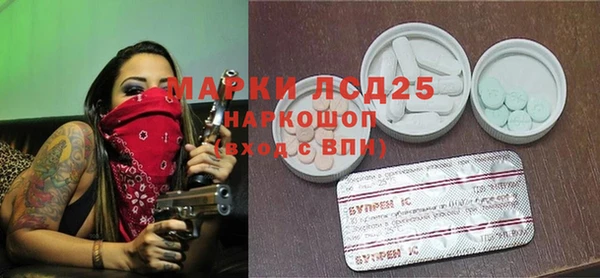 сатива Алзамай