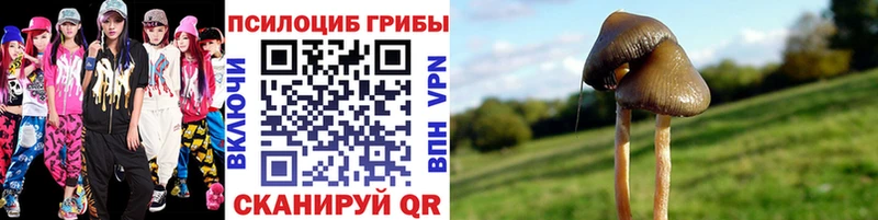 Галлюциногенные грибы мухоморы  Малаховка 